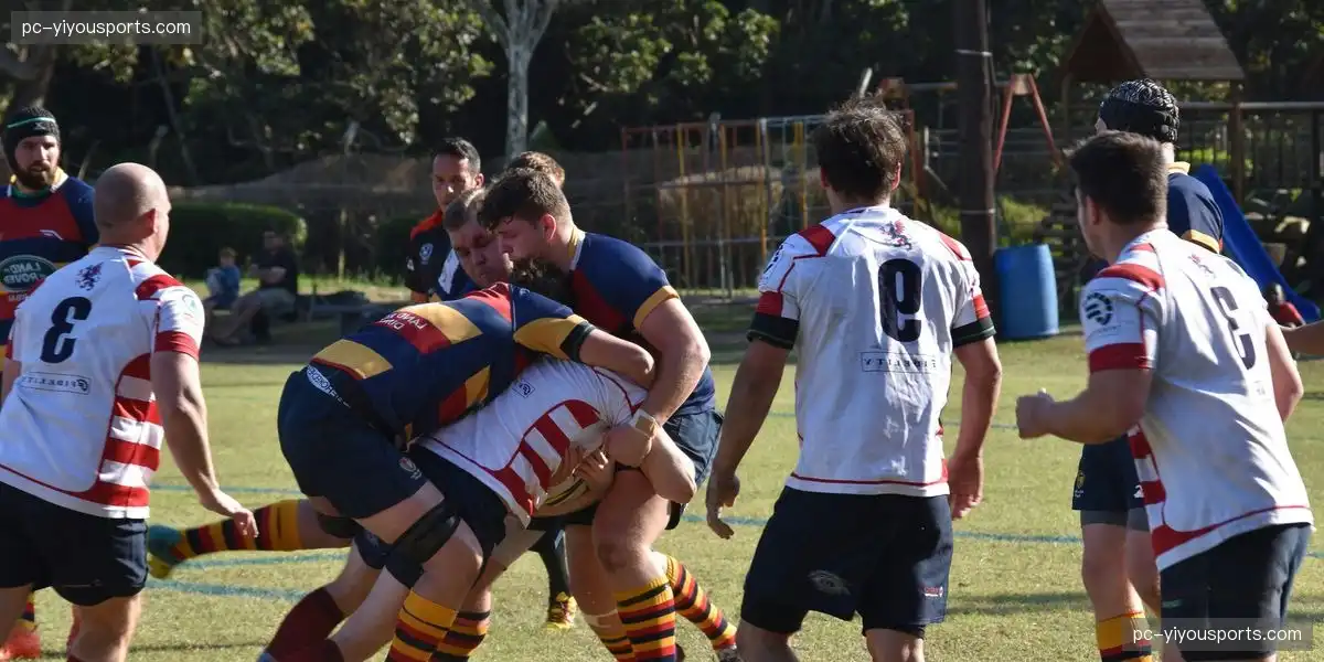 多平台互动直播 增强观众参与