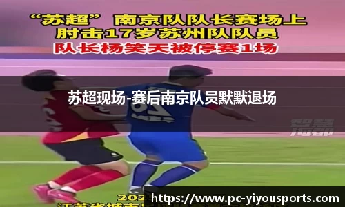 易游体育